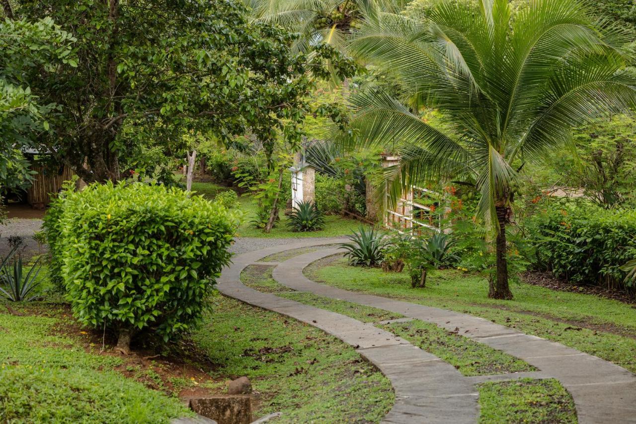 Salvatierra Beachfront Hotel Puerto Coyote Buitenkant foto